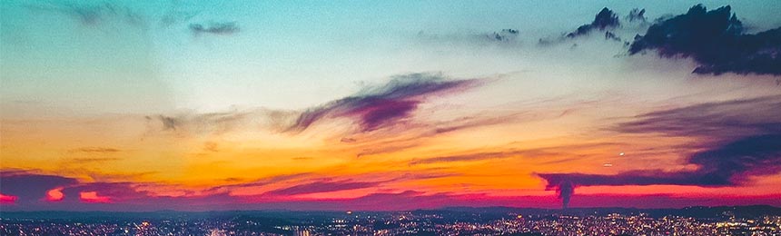 扬中茶虫网_扬中品茶